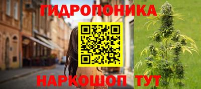 прущие грибы Ликино-Дулёво