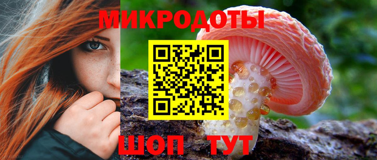 Псилоцибиновые грибы GOLDEN TEACHER Новокуйбышевск