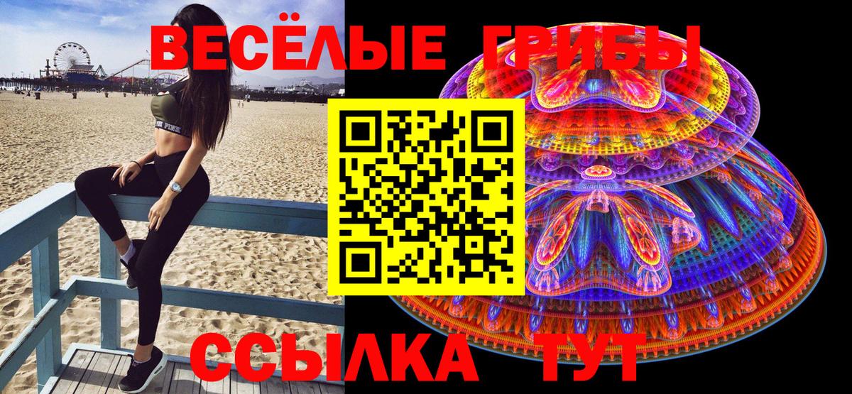 Новокуйбышевск  Псилоцибиновые грибы мицелий  купить наркотик  Вход с VPN 